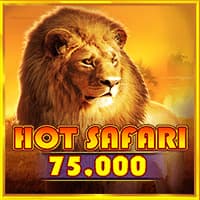 Slot_핫 사파리 75K